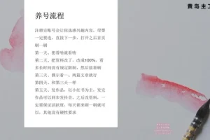 小红书宝宝起名副业实战：专业软件与实操课程