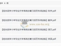 阳光同学小学毕业升学系统：小升初总复习活页专项训练