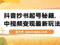 抖音抄书起号秘籍：中视频变现最新玩法保姆级教程