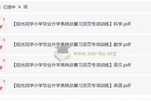 阳光同学小学毕业升学系统：小升初总复习活页专项训练