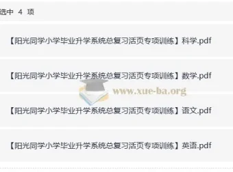 阳光同学小学毕业升学系统：小升初总复习活页专项训练