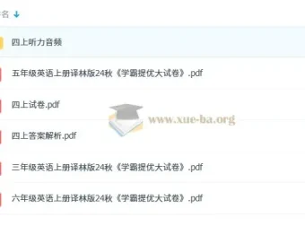 2025秋《学霸提优大试卷》：多版本学科练习资料