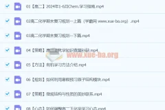 2024高二化学冷士强下学期寒假班