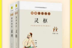 《白话图解黄帝内经》[全2册]：以插画图表解读经典医学著作