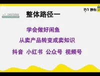 闲鱼无货源电商实战课程：零基础到月入1.5万