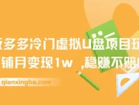 2025版多多冷门虚拟U盘项目玩法：单店铺月变现1w+