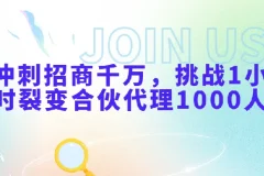 冲刺招商千万：挑战1小时裂变合伙代理1000人课程