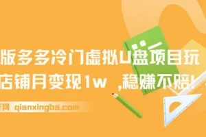 2025版多多冷门虚拟U盘项目玩法：单店铺月变现1w+