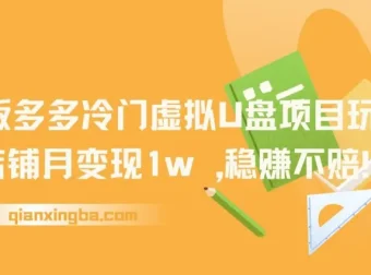 2025版多多冷门虚拟U盘项目玩法：单店铺月变现1w+