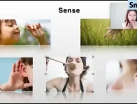 Snow英语口语课：从零基础迈向英语流利说