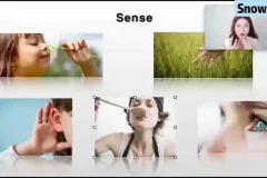 Snow英语口语课：从零基础迈向英语流利说