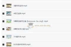 2025 房亮小学数学五年级数学培训A+班