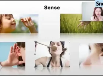 Snow英语口语课：从零基础迈向英语流利说