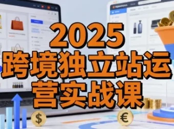 2025跨境独立站运营实战课：建站、流量与转化核心模块精讲