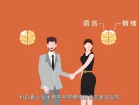 混沌大学洪兰认知心理学课程：快思慢想与决策