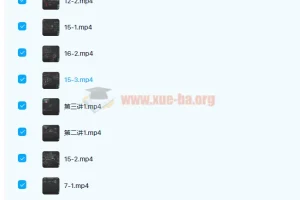 2021年高考物理：夏梦迪寒春联报班课程资源