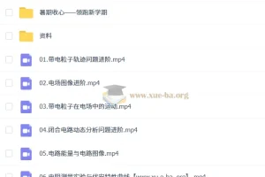 2026高二物理李楠上学期课程