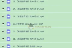 2025初三中考化学 杨雯智 暑期班  秋季班