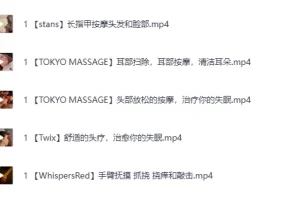 精彩 ASMR 助眠按摩视频：每日更新