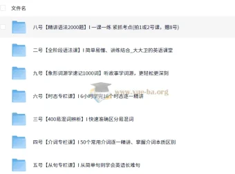 大大卫《英语课程合集 (小学 – 大学) 》：涵盖多阶段英语学习