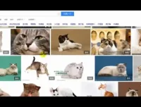 【抖音运营实战】从零到百万粉丝：抖音账号定位与视频制作全攻略