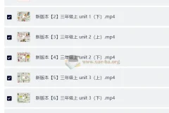 过目不忘小学英语单词海报课程