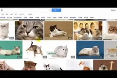 【抖音运营实战】从零到百万粉丝：抖音账号定位与视频制作全攻略