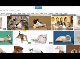 【抖音运营实战】从零到百万粉丝：抖音账号定位与视频制作全攻略