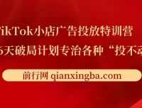 TikTok小店广告投放特训营：6天破局计划，传授月销百万实战干货