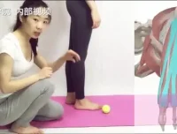 四阶段高级体态定制训练课程：全面改善体态