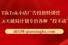 TikTok小店广告投放特训营：6天破局计划，传授月销百万实战干货