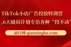 TikTok小店广告投放特训营：6天破局计划，传授月销百万实战干货