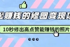 修图神器Snapseed：《10秒修出高点赞照片》修图变现课