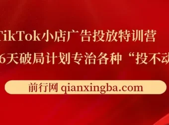TikTok小店广告投放特训营：6天破局计划，传授月销百万实战干货