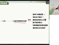 2024徐京高考生物三轮冲刺：细胞遗传生态专题精讲课程