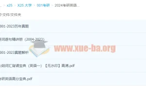 2024考研英语一黄皮书：历年真题及解析