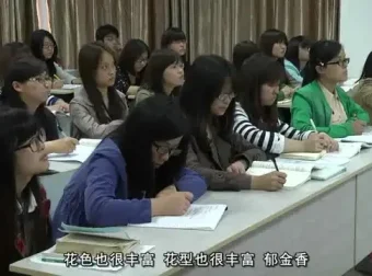 花艺插花教程：从入门到精通，全面提升花艺技能