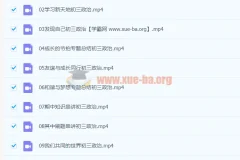 2020九年级政治秋季周若男课程（已完结，共16讲）