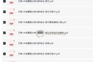 2025版万唯中考真题分类与新考法（语文、数学、英语、物理、化学、历史、道德与法治）