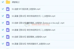 安智琛2024高中高二生物春季A班课程