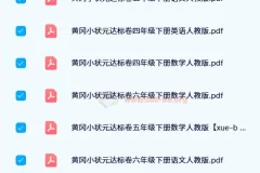 2024春 黄冈小状元达标卷（人教版）