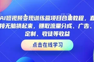 AI短视频变现训练营项目合集：轻松实现无脑复制变现