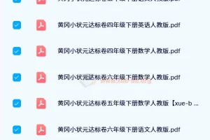 2024春 黄冈小状元达标卷（人教版）