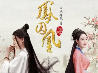 曲音静子播音有声小说《凤囚凰》145集完结