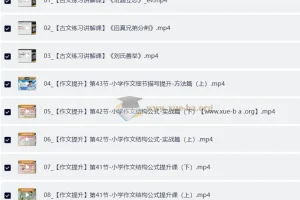 北大派派小学语文高分大招课程