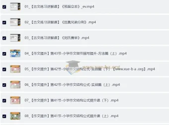 北大派派小学语文高分大招课程