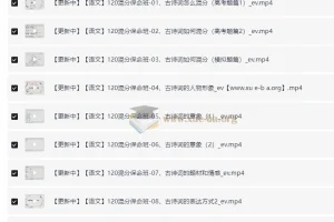 幻幻课堂高考语文总复习系统班视频课程（目标120+）