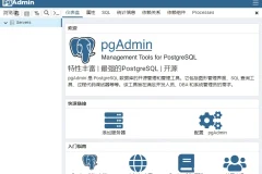 开源数据库管理平台 pgAdmin 4 中文免费版