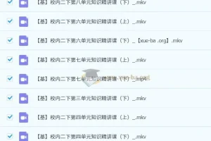 2023春下小学语文二年级A+课程（于戈子琦）