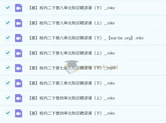 2023春下小学语文二年级A+课程（于戈子琦）